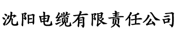 香蕉视频apk软件电缆厂logo